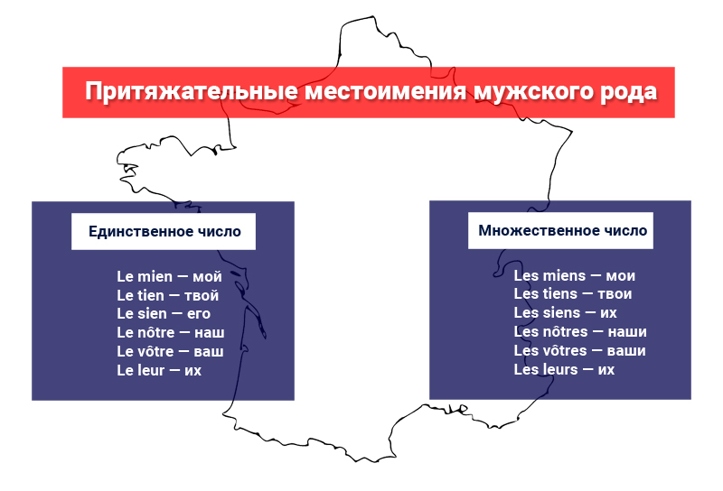 Притяжательные местоимения мужского рода во французском